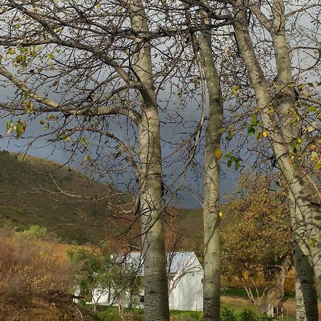 Sonklip Hotel Stellenbosch Kültér fotó