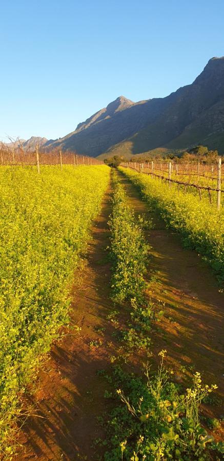 Sonklip Hotel Stellenbosch Kültér fotó