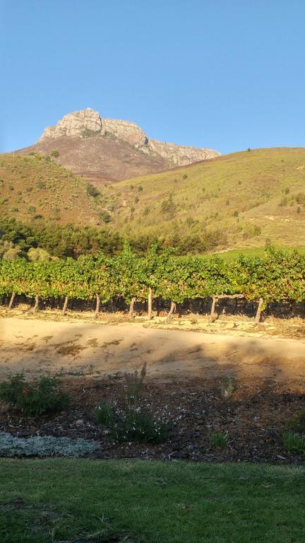 Sonklip Hotel Stellenbosch Kültér fotó