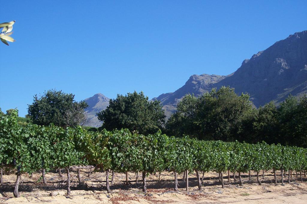 Sonklip Hotel Stellenbosch Kültér fotó