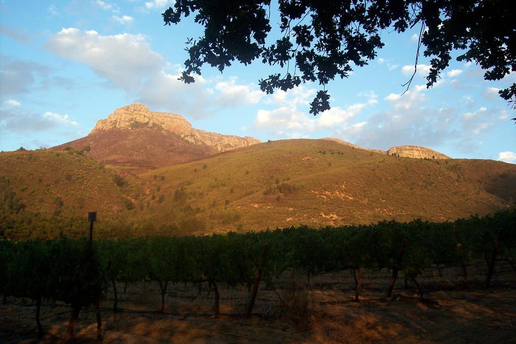 Sonklip Hotel Stellenbosch Kültér fotó