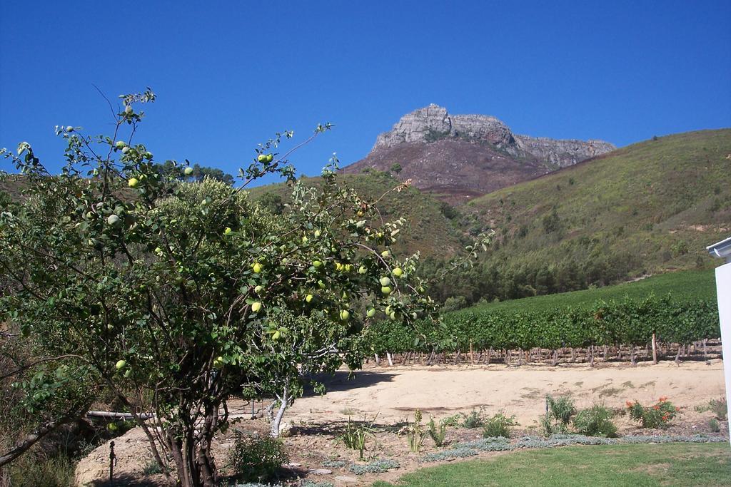 Sonklip Hotel Stellenbosch Kültér fotó