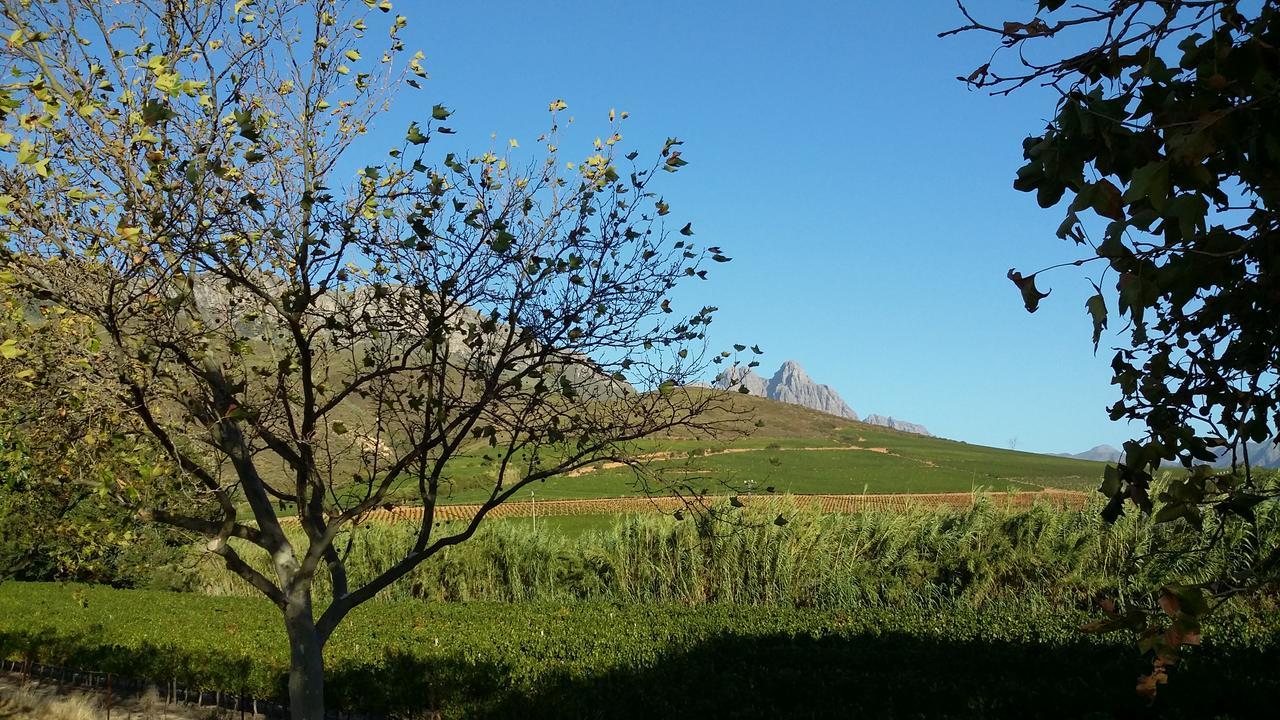 Sonklip Hotel Stellenbosch Kültér fotó