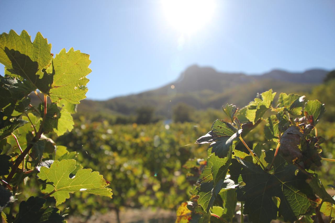 Sonklip Hotel Stellenbosch Kültér fotó