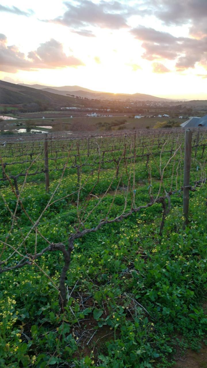 Sonklip Hotel Stellenbosch Kültér fotó