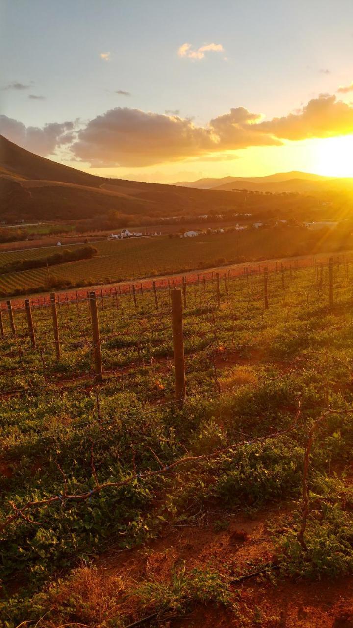 Sonklip Hotel Stellenbosch Kültér fotó