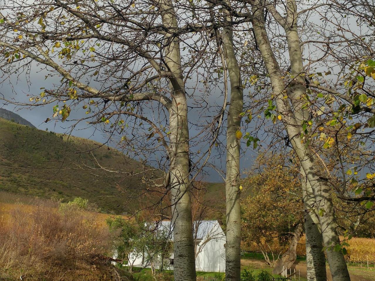Sonklip Hotel Stellenbosch Kültér fotó