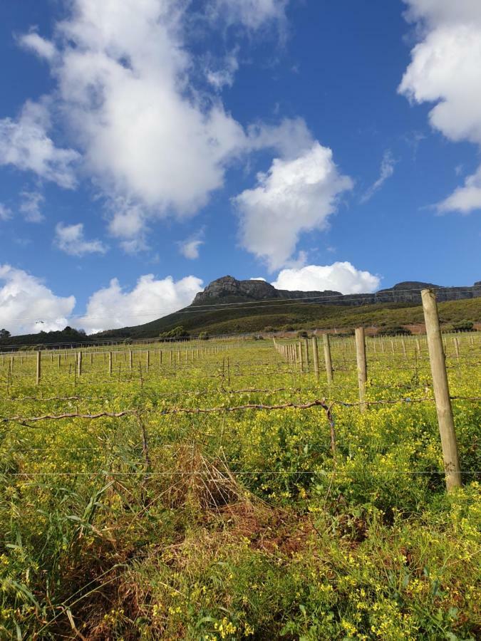 Sonklip Hotel Stellenbosch Szoba fotó
